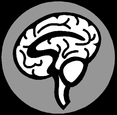 bigjuicybrains.net